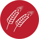 almarbakari.is logo