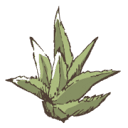 aloejun.com logo