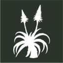 aloesno21.co.za logo