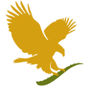 aloeveraireland.ie logo