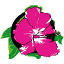 alohalaservision.com logo