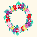 alohasanantonio.com logo