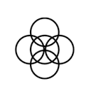 aloise.life logo