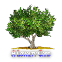 aloyaltycard.com logo