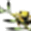 alpenlounge.fr logo