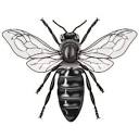 alpillesmiels.fr logo