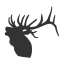 alpinecomputing.net logo