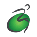alpinerehabconference.com logo