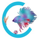 alsalmankw.com logo