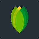alseeds.com logo