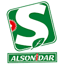 alsonidargroup.com logo