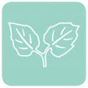 alternativemedizin.hamburg logo