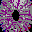 altiva.es logo