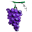 altschuh-weingut.de logo
