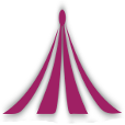 alwaysaparty.com logo
