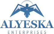 alyeskaenterprise.com logo