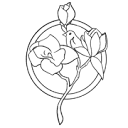 amadausdesign.com logo