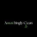 amaidzinglyclean.com logo