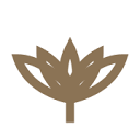 amandalamprechtyoga.com logo