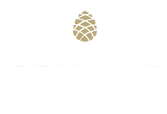 amandapodestaphotography.com logo