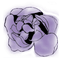 amandawarfield.com logo