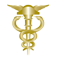amaralepires.com.br logo
