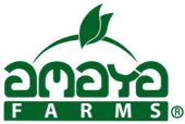 amayafarms.com logo