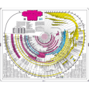 amazingbibletimeline.com logo