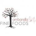 ambarella.com.au logo