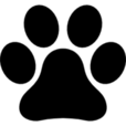 amberhethondenmeisje.nl logo
