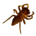 ambershop.de logo