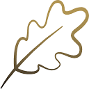 ambersmile.com logo