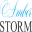 amberstorm.lt logo