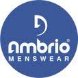 ambrio.in logo