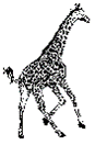 amedia.ch logo