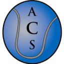 americancourtsurfacing.com logo