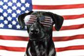 americanfairness.com logo