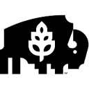 americanfiber.com logo