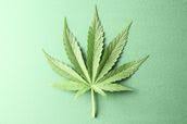 americanhempire.us logo