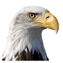 americanlifefinancial.com logo