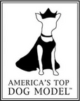 americastopdogmodel.com logo