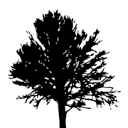 amerpf.com logo