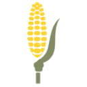 amigorural.com logo
