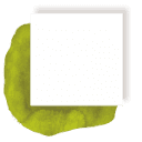 amiry.co logo