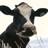 amishcountrybeefjerky.com logo