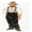 amishsurroundings.com logo