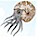 ammonet.fr logo