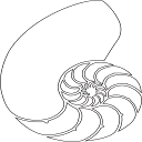 ammonit.space logo