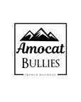 amocatbullies.com logo