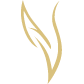 amoonspirits.com logo